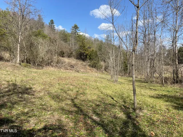 $30,000 | 1028 East Pumpkin Valley Road, Eidson, TN 37731