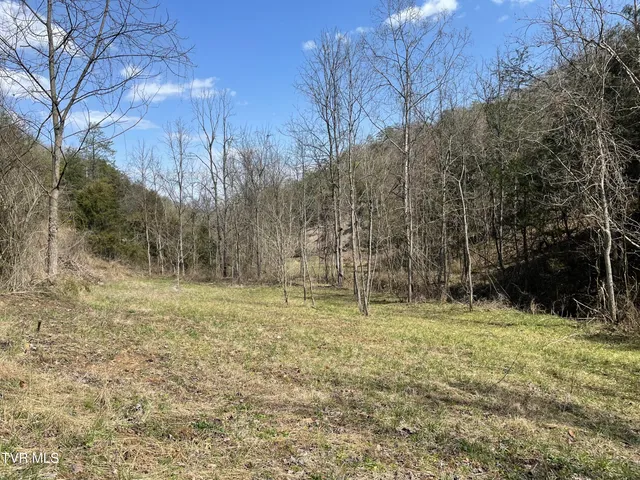 $30,000 | 1028 East Pumpkin Valley Road, Eidson, TN 37731