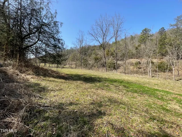 $30,000 | 1028 East Pumpkin Valley Road, Eidson, TN 37731