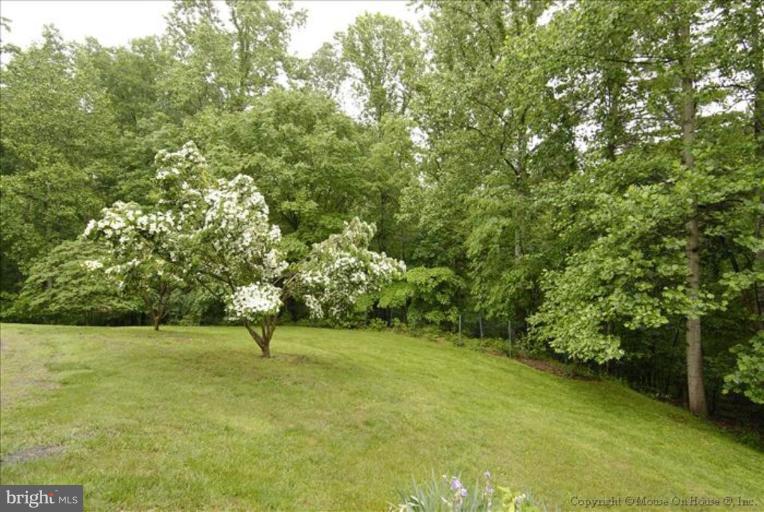 40783 Manor House Road Leesburg, VA 20175 - Photo 22 of 30 Back yard