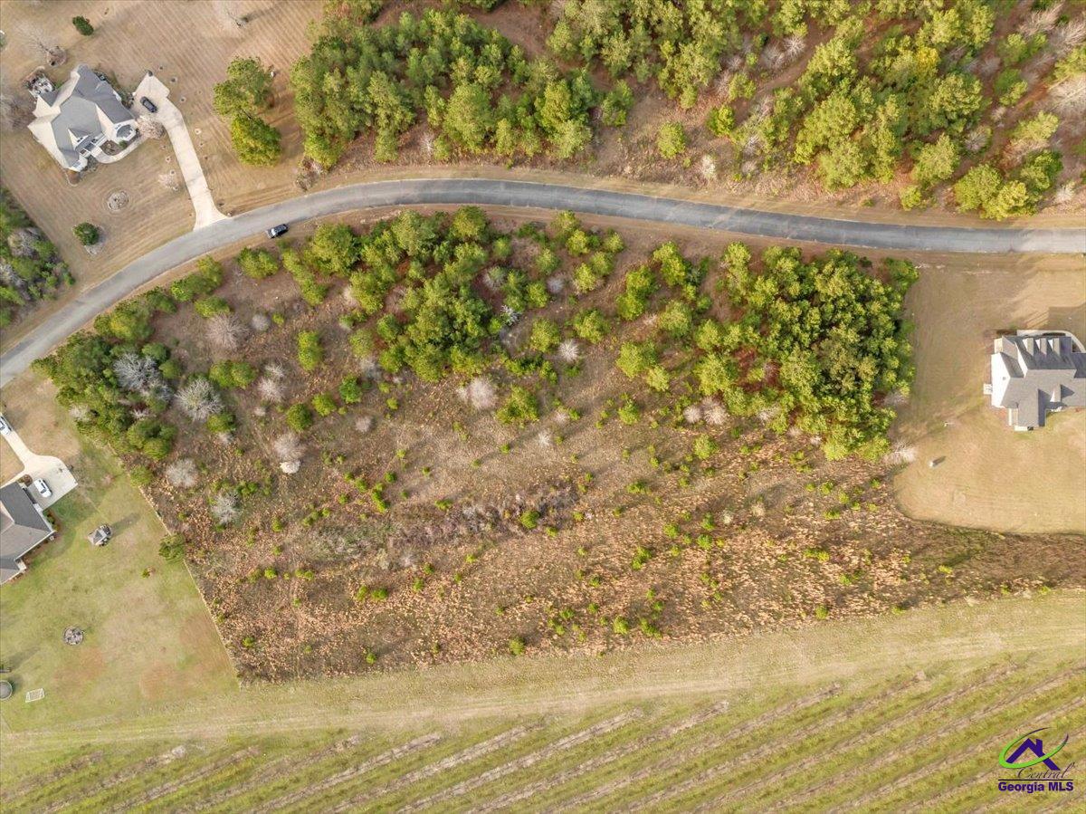 0 Woodland Trail Road Cochran, GA 31014 - Photo 19 of 20
