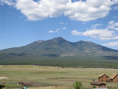 6875 North Bader Road Flagstaff, AZ 86001 - Photo 5 of 16 Additional Photo