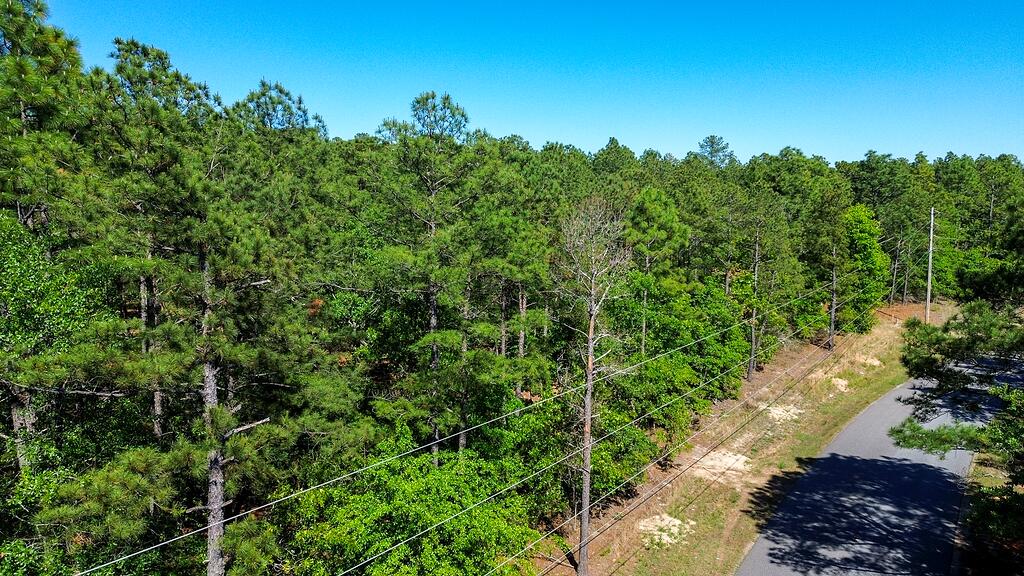 0 Mt Zion Road, Unit 3 Trenton, SC 29847 - Photo 6 of 26