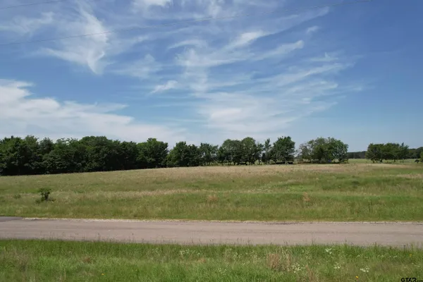 a view of a field with a trees in the background