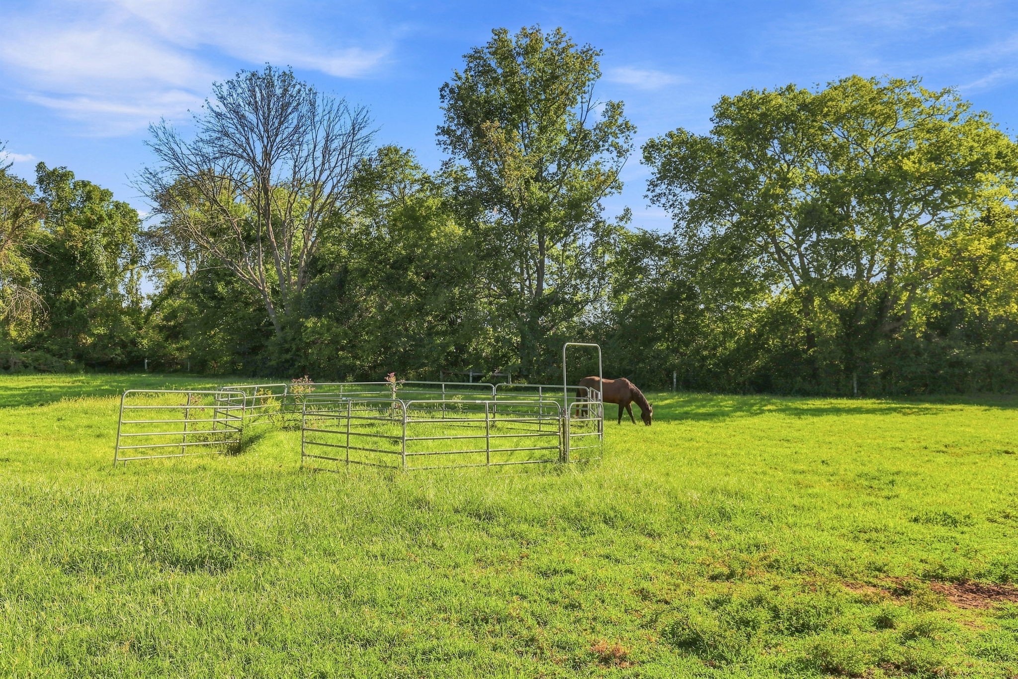 907 Donaldson Grove Road Elora, TN 37328 - Photo 53 of 56 Gallery Image 53