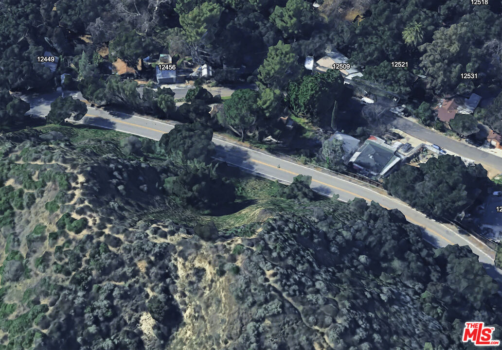 12500 Kagel Canyon Road Sylmar, CA 91342 - Photo 5 of 8 a view of a large yard with lots of plants and trees