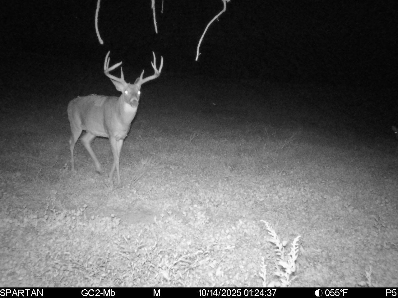0 Stoneburner Road Northwest Crooksville, OH 43731 - Photo 25 of 26 image2