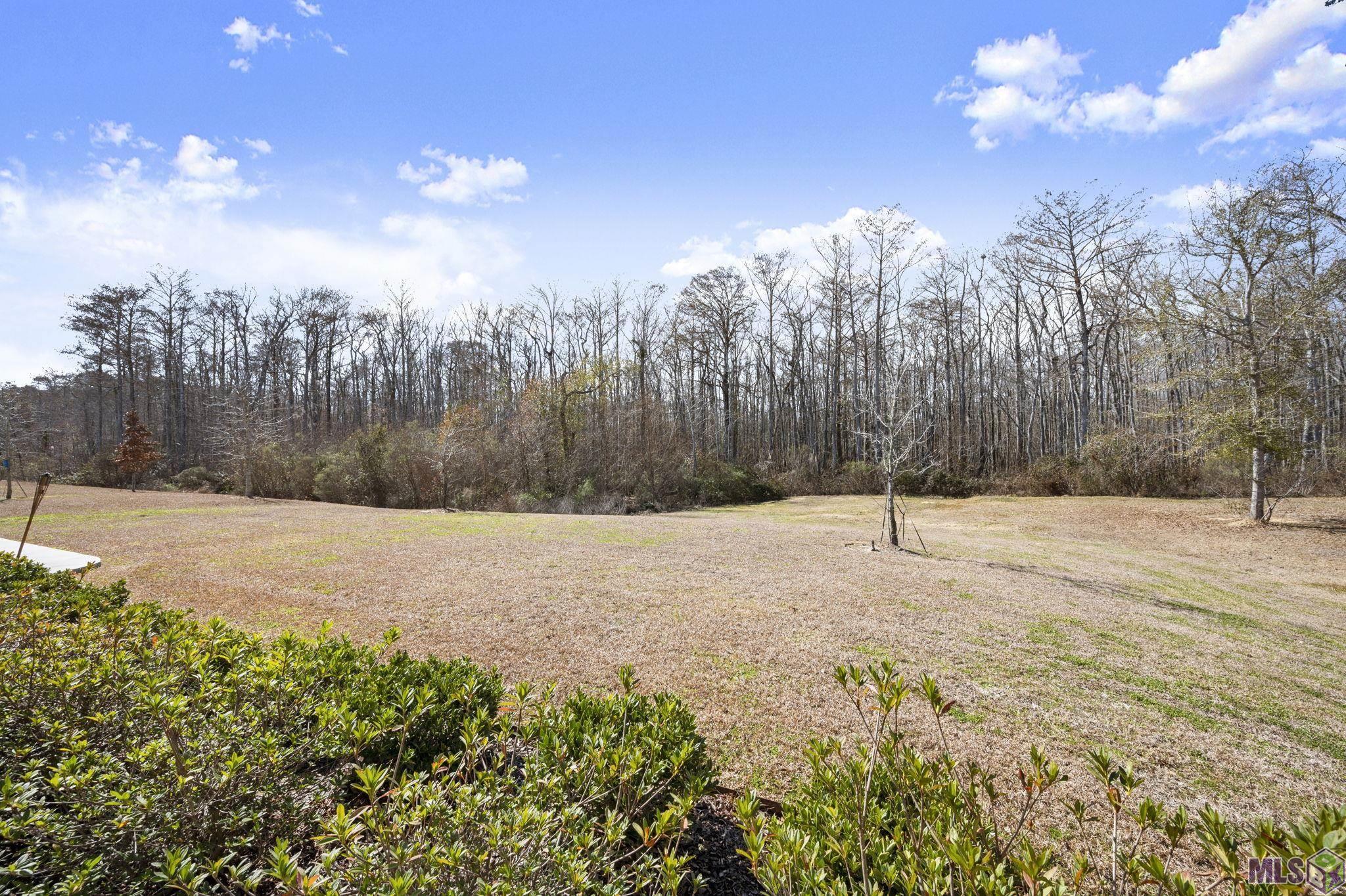 23373 Cypress Cove Springfield, LA 70462 - Photo 14 of 31