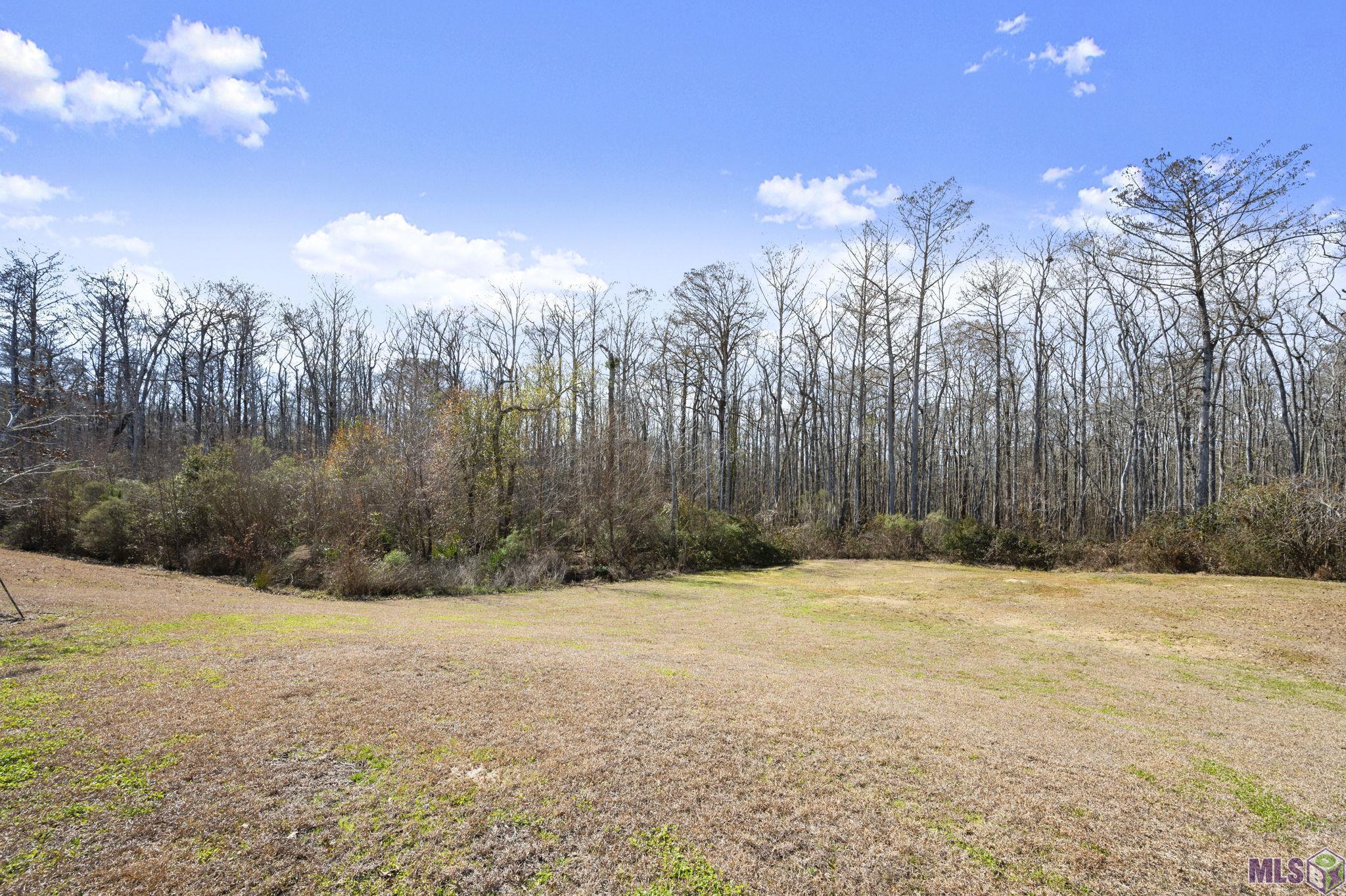 23373 Cypress Cove Springfield, LA 70462 - Photo 15 of 31