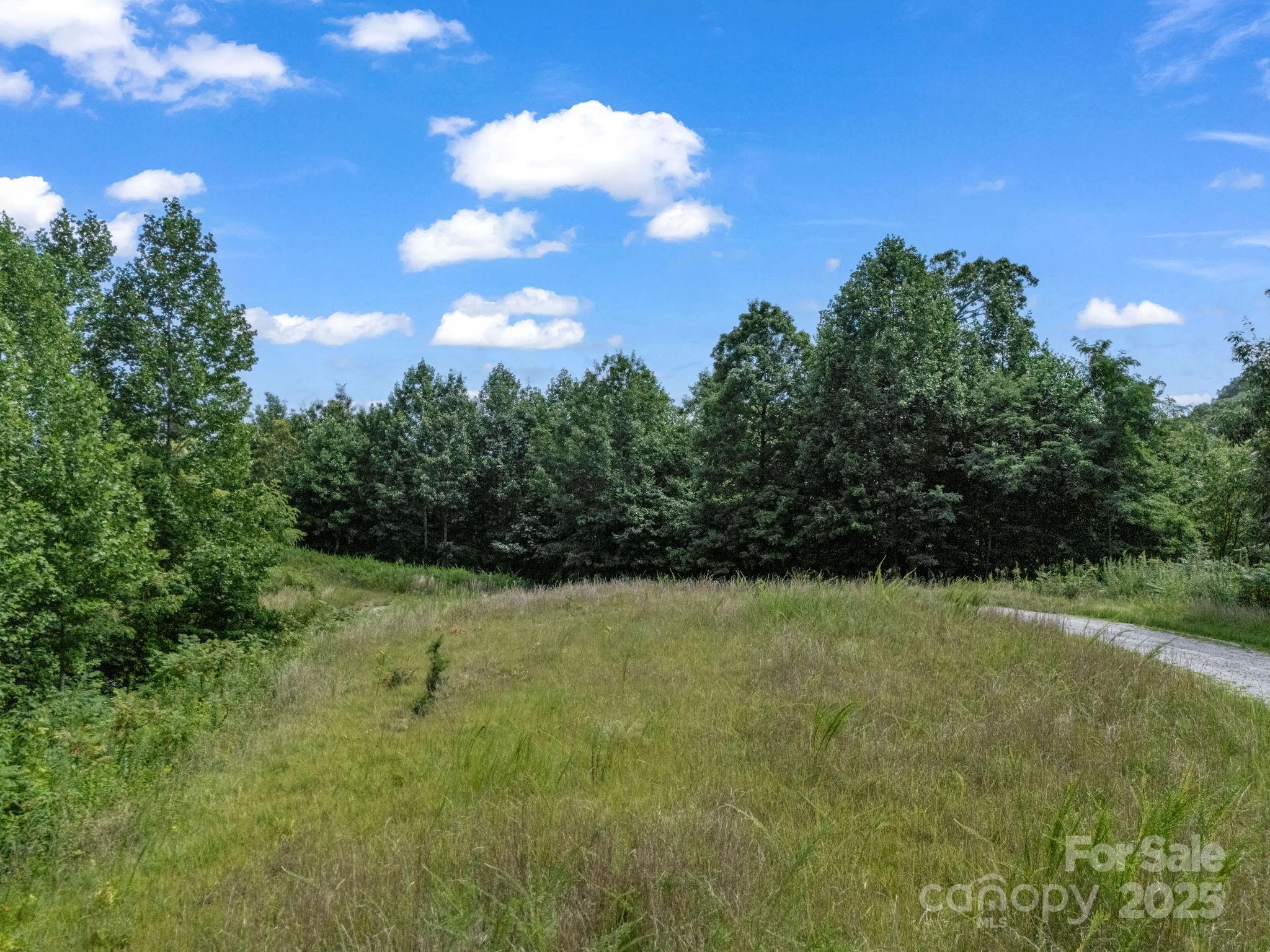 0 Climbing Road Hendersonville, NC 28792 - Photo 19 of 36 a backyard of a house with lots of green space