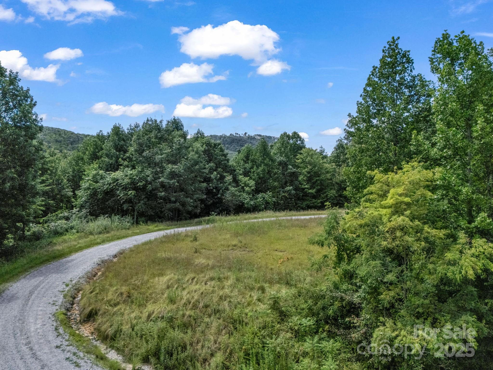0 Climbing Road Hendersonville, NC 28792 - Photo 20 of 36 a view of a big yard with lots of green space