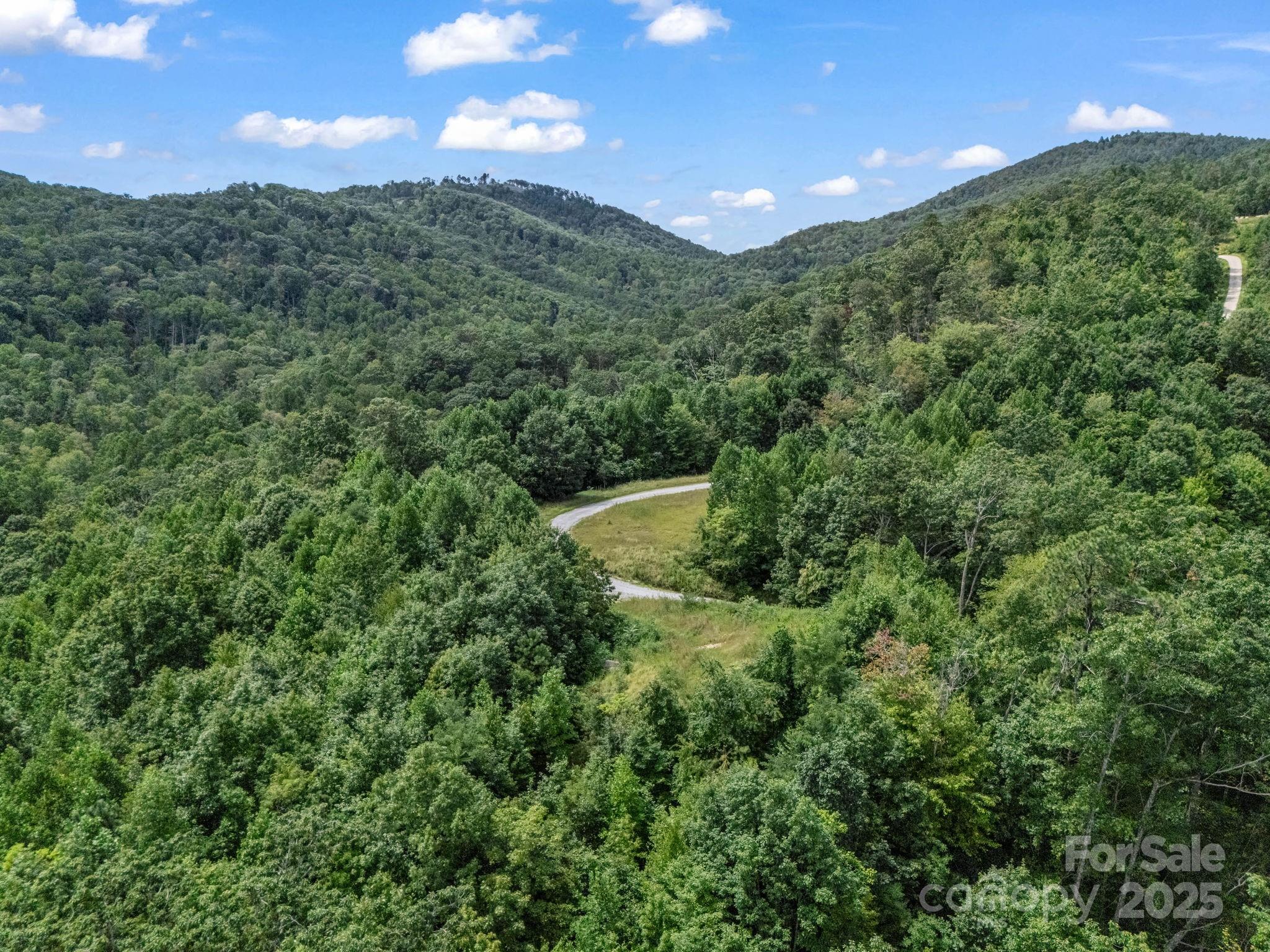 0 Climbing Road Hendersonville, NC 28792 - Photo 21 of 36 a view of a lush green forest with lots of tall trees