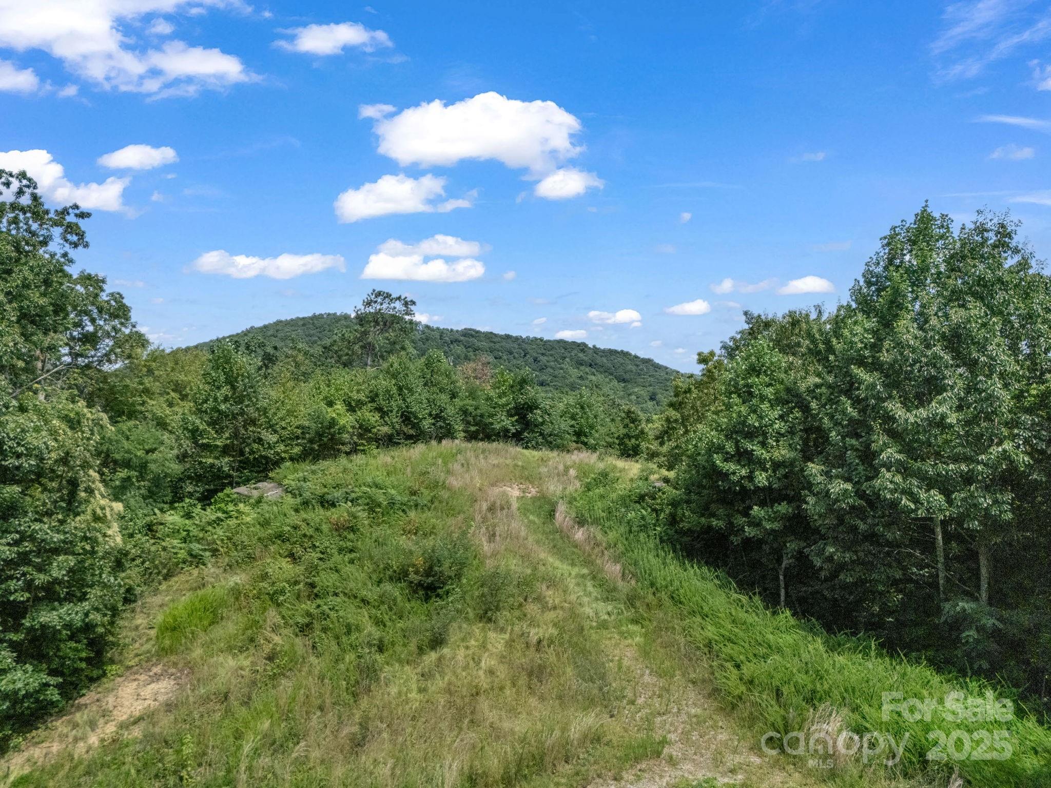 0 Climbing Road Hendersonville, NC 28792 - Photo 23 of 36 a view of a big yard with lots of green space