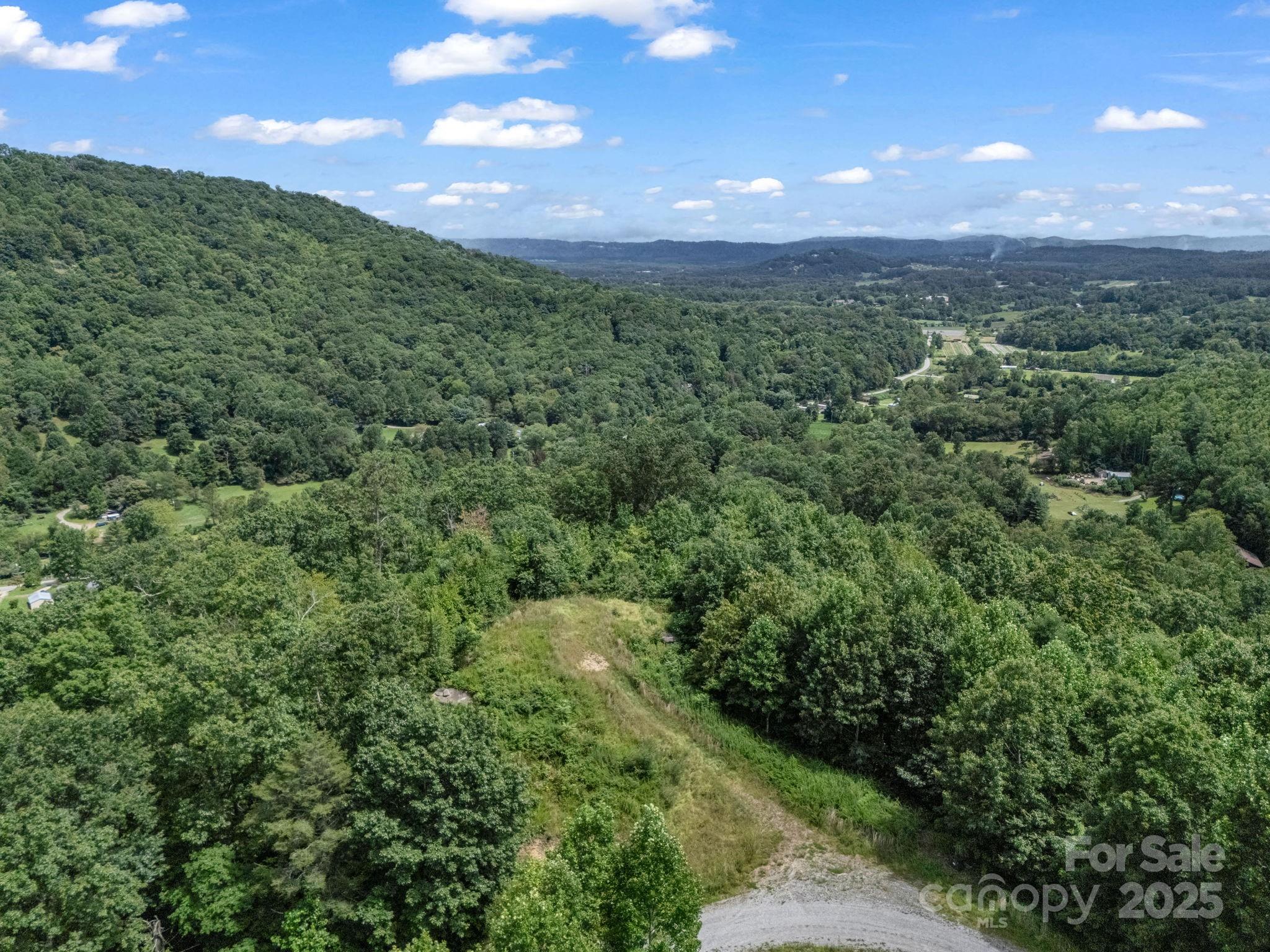 0 Climbing Road Hendersonville, NC 28792 - Photo 24 of 36 a view of a big yard