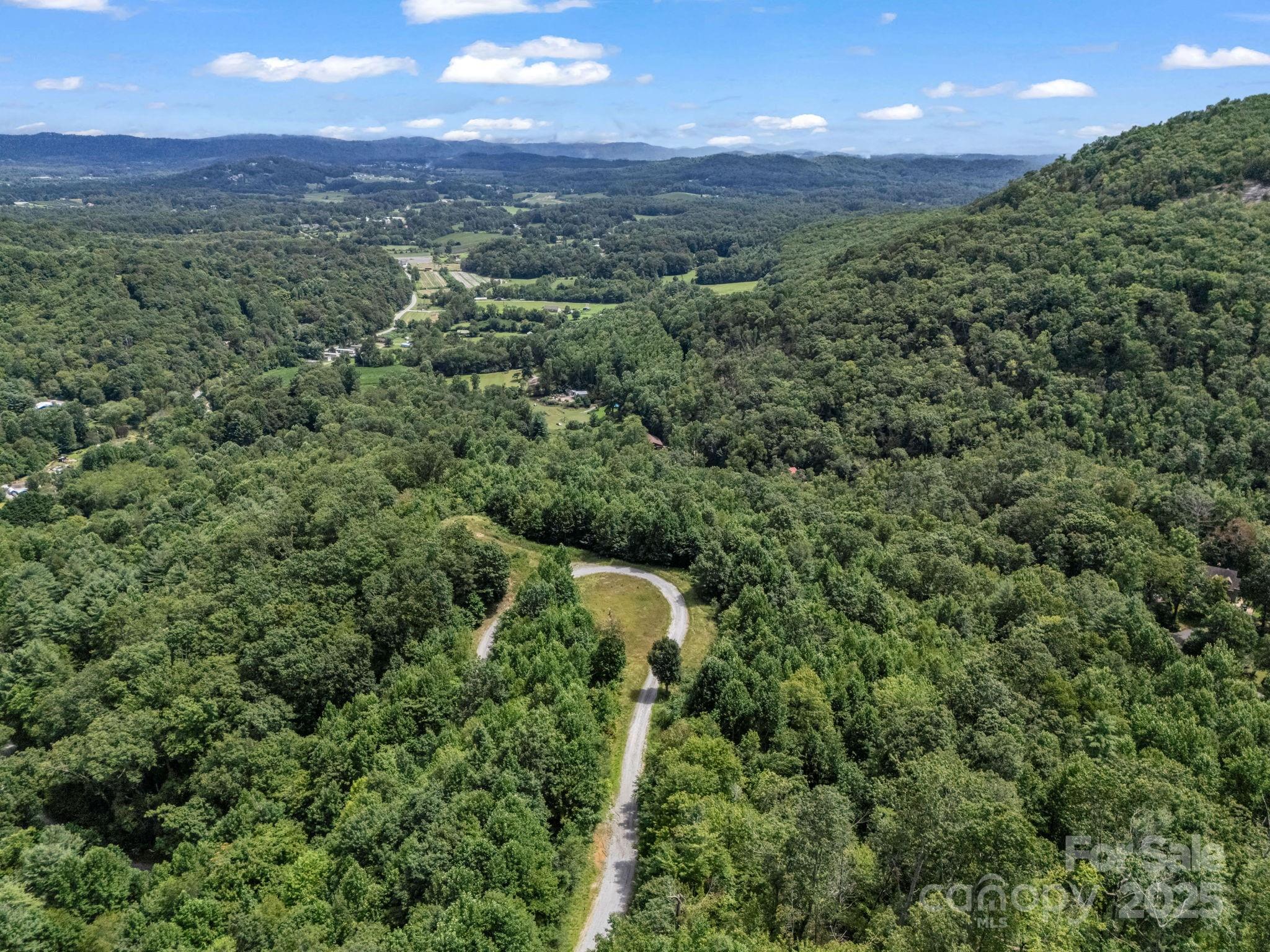 0 Climbing Road Hendersonville, NC 28792 - Photo 27 of 36 a view of a city with lush green forest