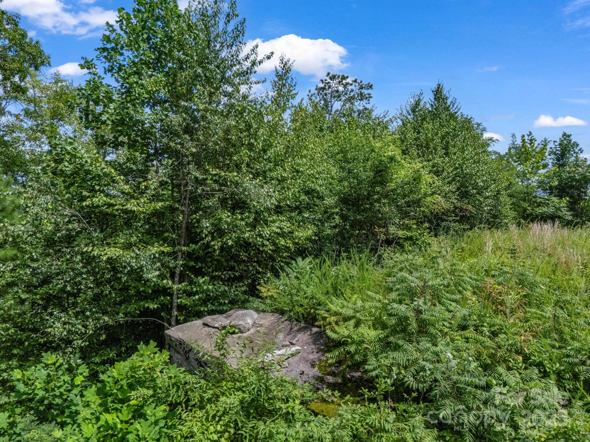 0 Climbing Road Hendersonville, NC 28792 - Photo 29 of 36 a view of a garden with a tree in the background