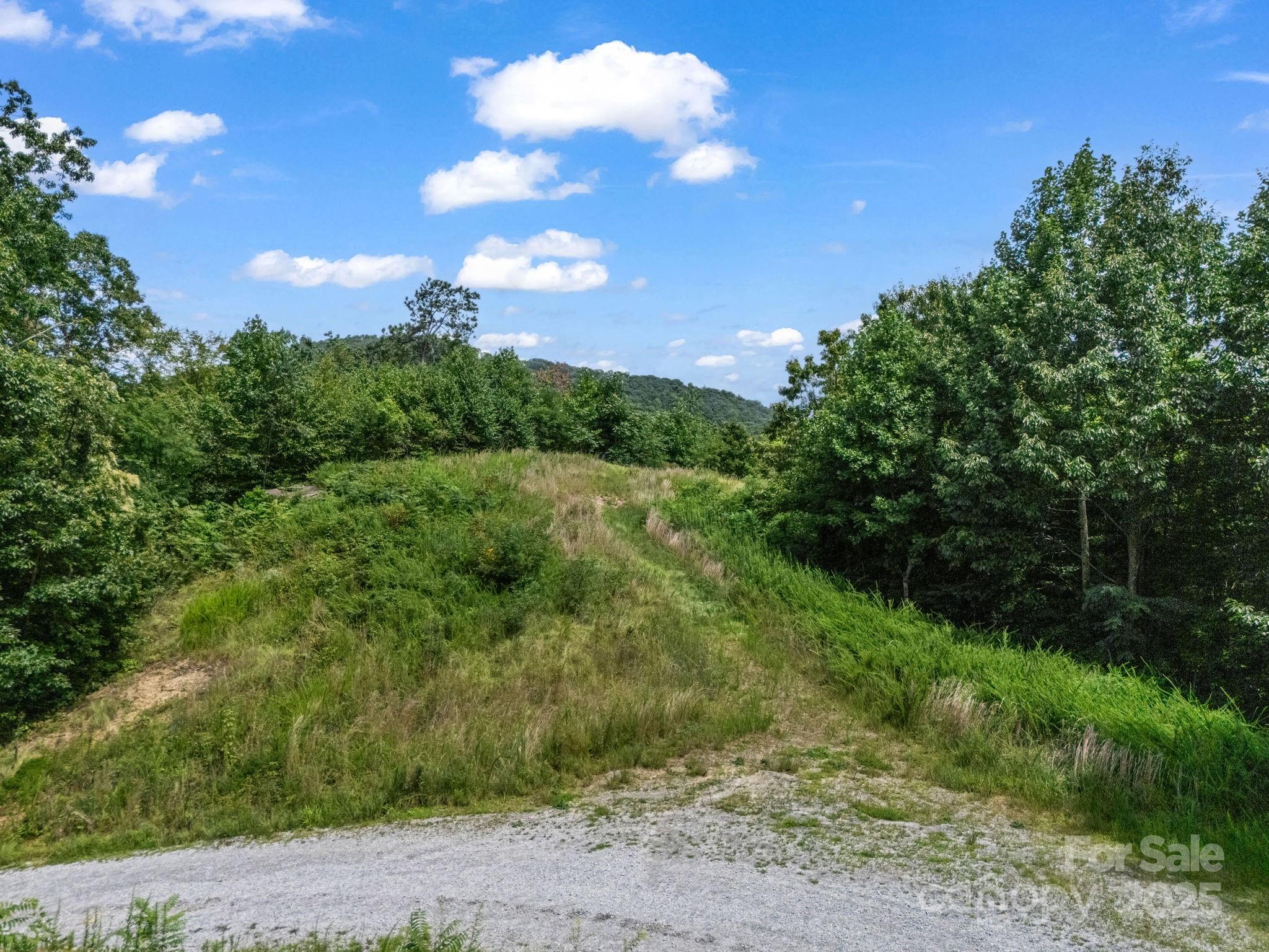 0 Climbing Road Hendersonville, NC 28792 - Photo 30 of 36 a view of a yard with a tree