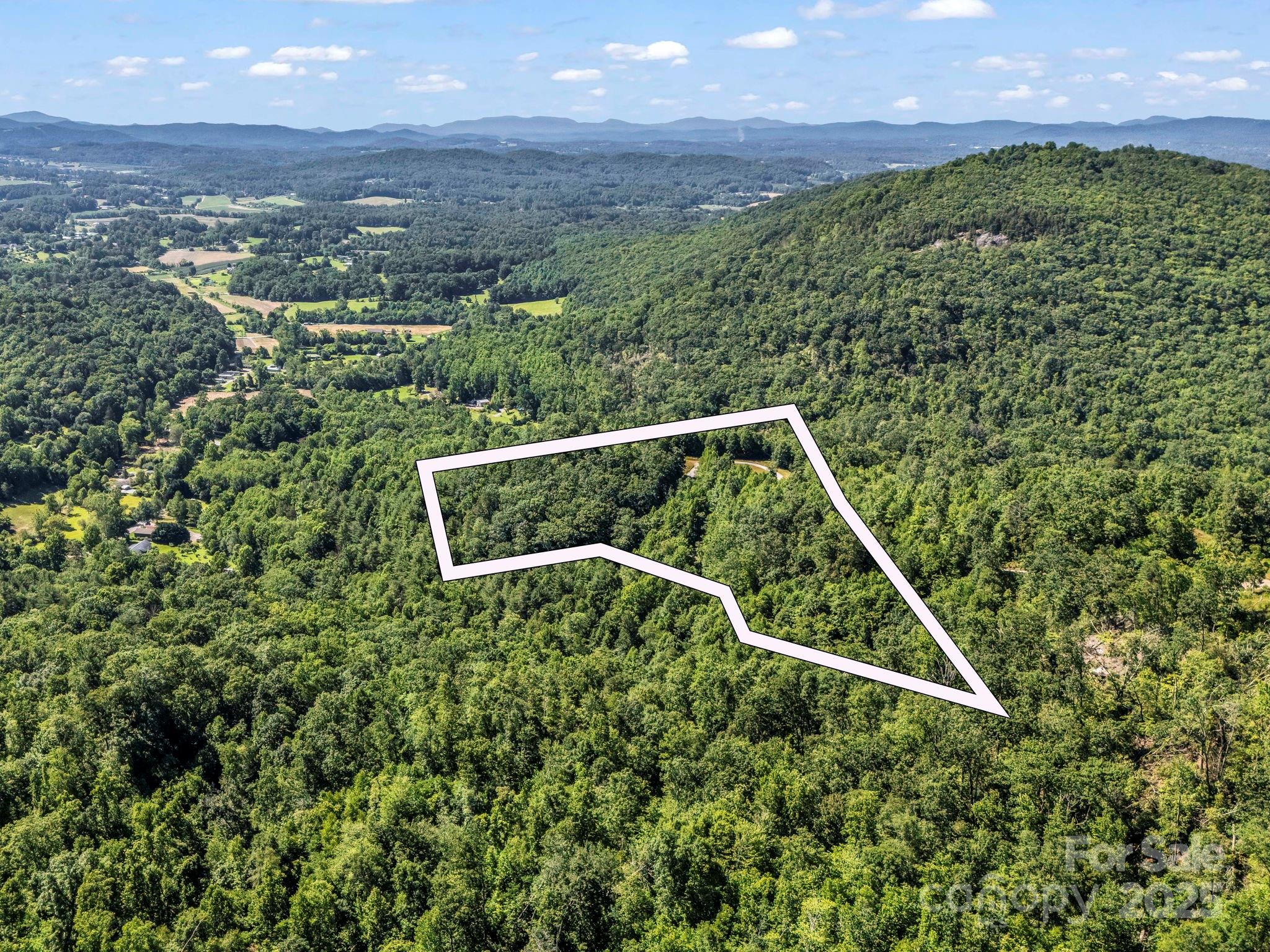 0 Climbing Road Hendersonville, NC 28792 - Photo 33 of 36 a view of a yard