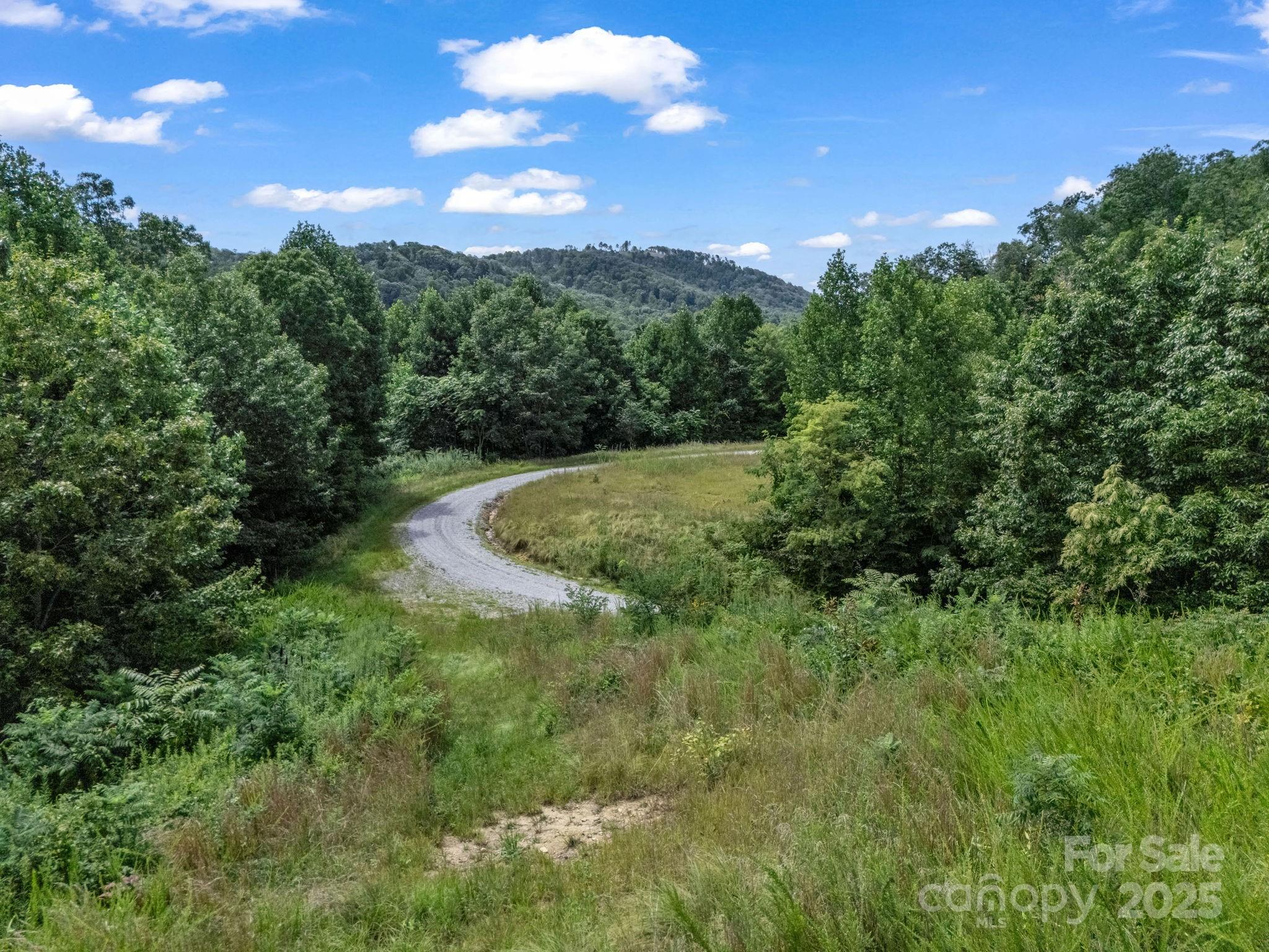 0 Climbing Road Hendersonville, NC 28792 - Photo 4 of 36 a view of a green yard