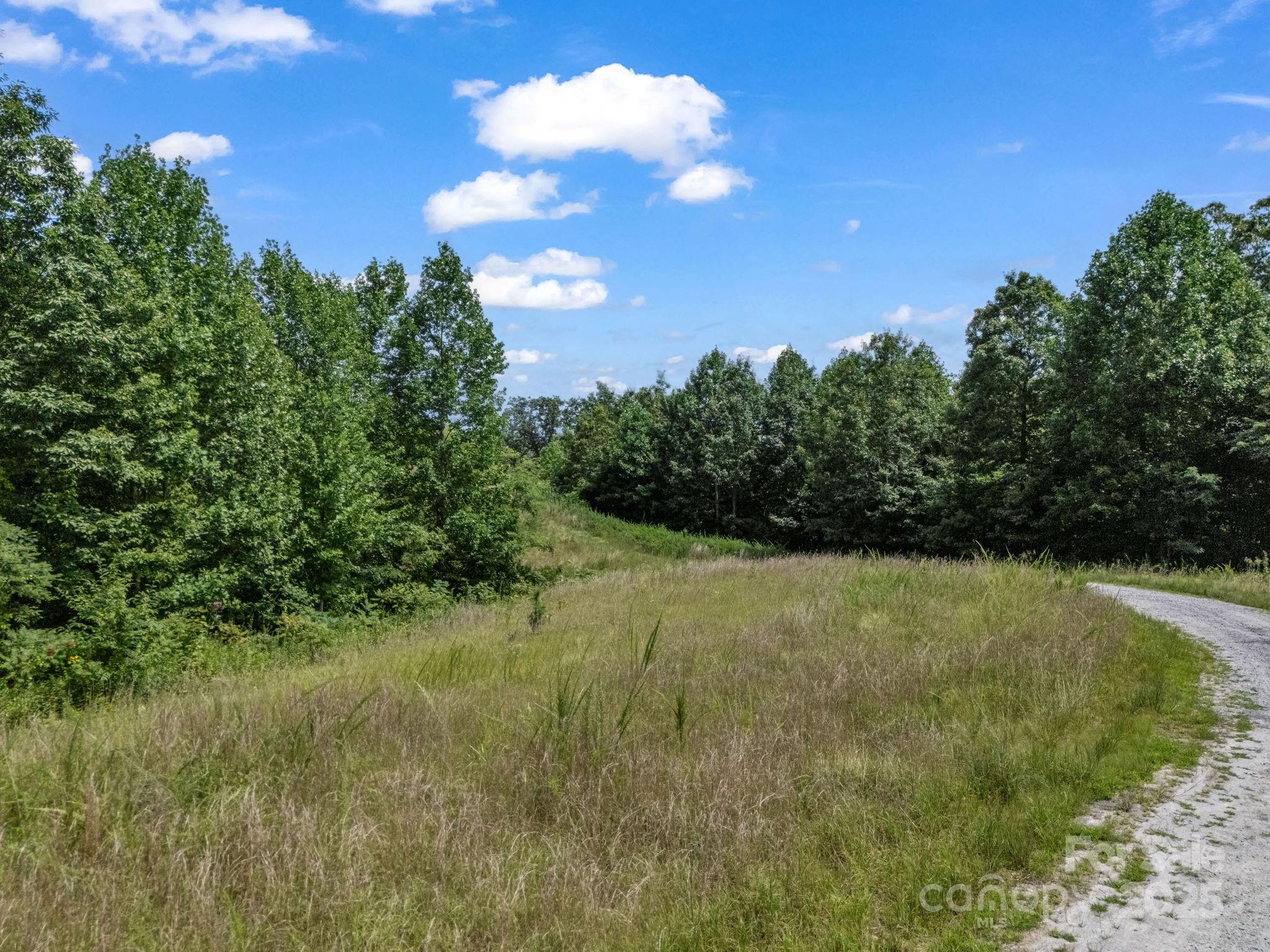 0 Climbing Road Hendersonville, NC 28792 - Photo 6 of 36 a view of a yard with a tree