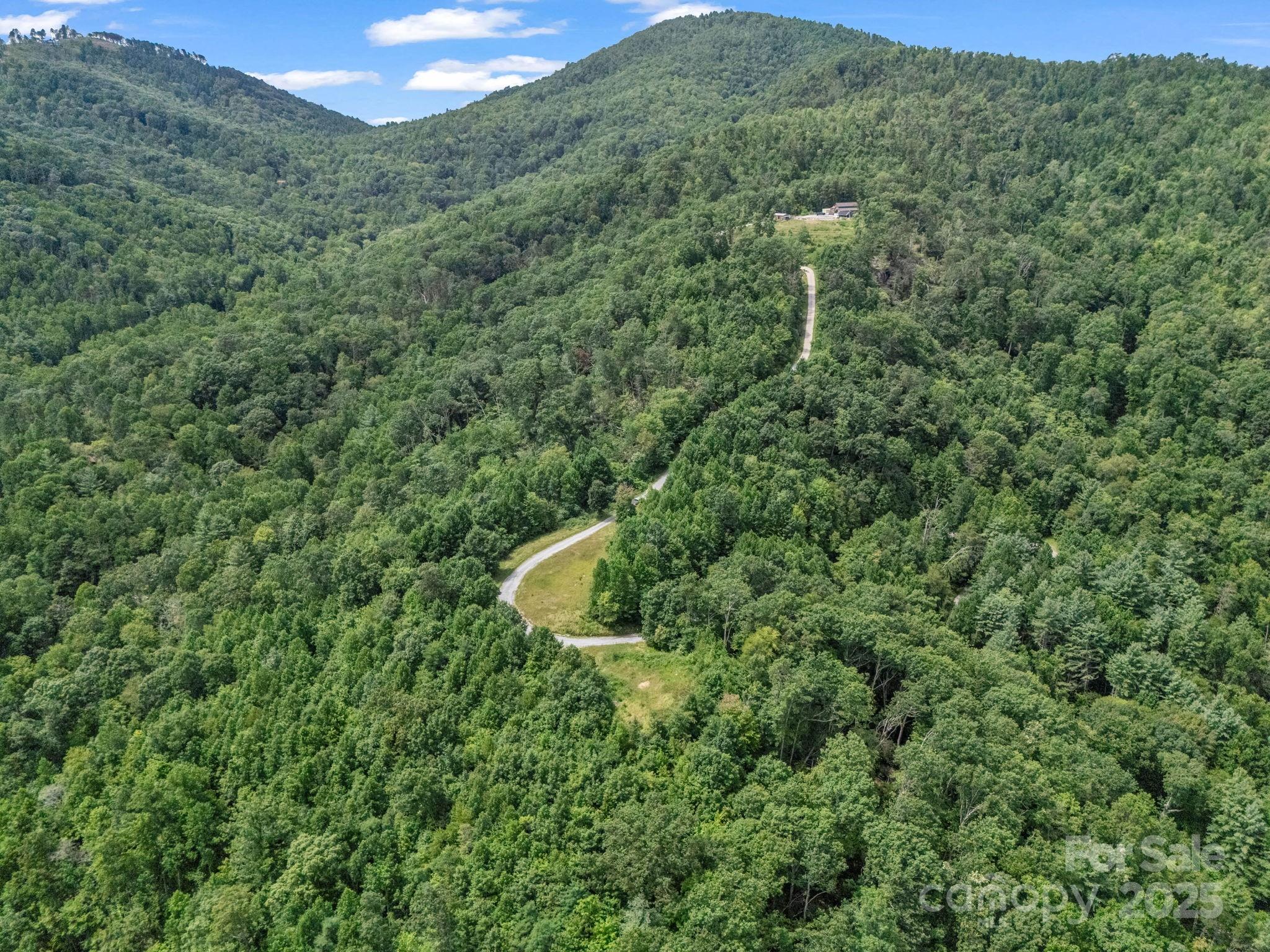 0 Climbing Road Hendersonville, NC 28792 - Photo 8 of 36 a view of a forest with a street