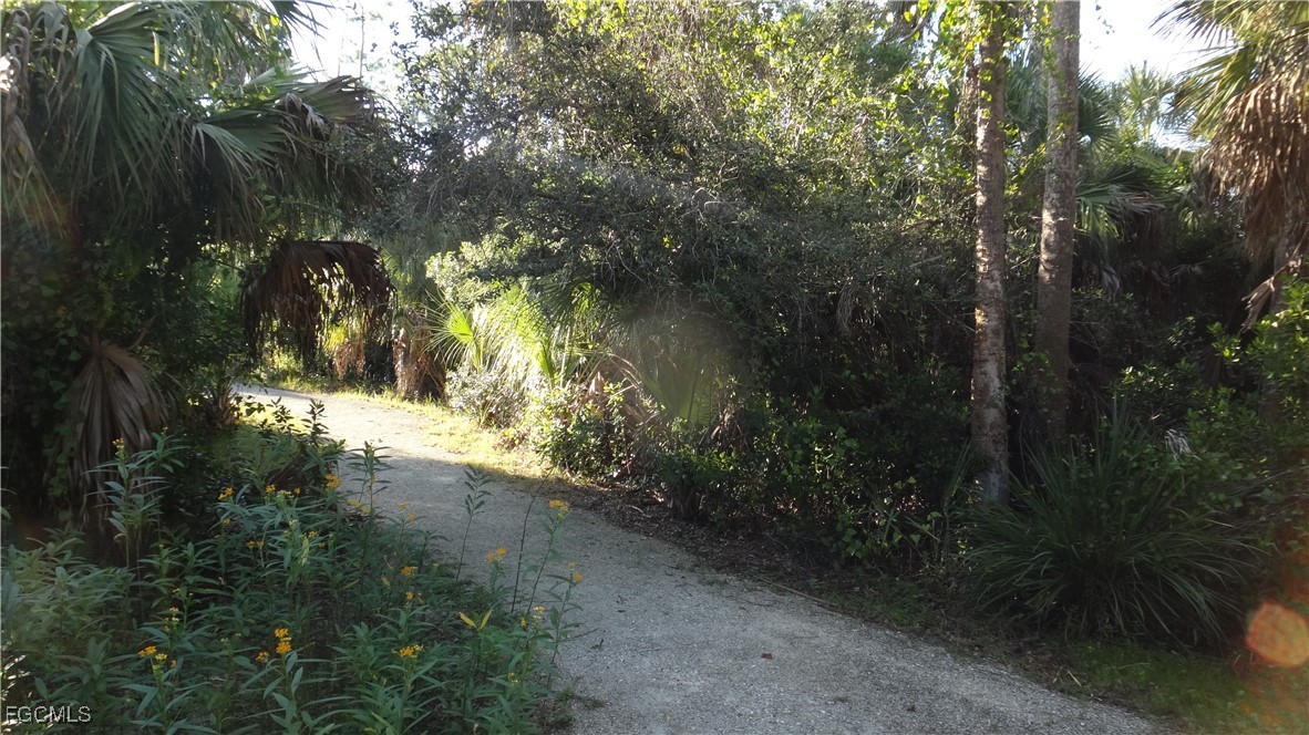 14981 Reflection Key Circle, Unit 335 Fort Myers, FL 33907 - Photo 39 of 42 a view of a yard with a tree