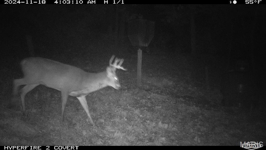 14912 Highway 96 Nebo, IL 62355 - Photo 2 of 99