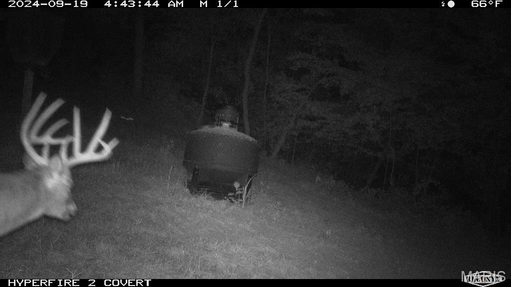 14912 Highway 96 Nebo, IL 62355 - Photo 4 of 99