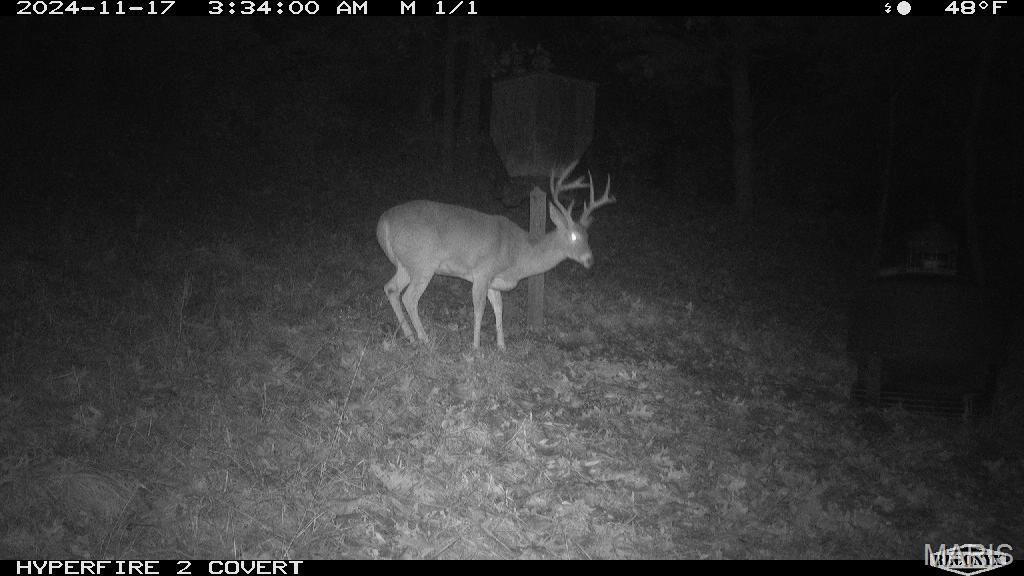 14912 Highway 96 Nebo, IL 62355 - Photo 5 of 99