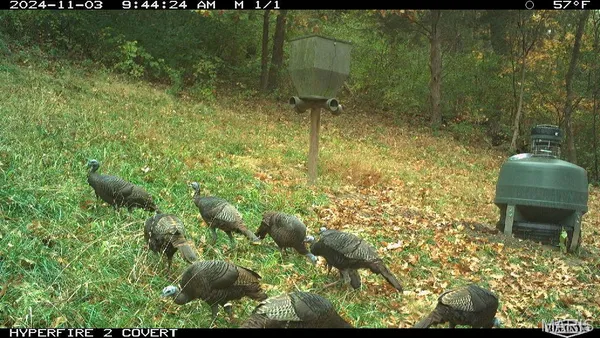 $340,000 | 14912 Highway 96, Nebo, IL 62355