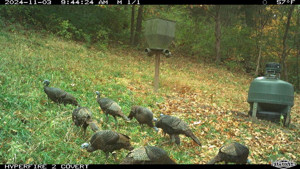 14912 Highway 96 Nebo, IL 62355 - Photo 6 of 99