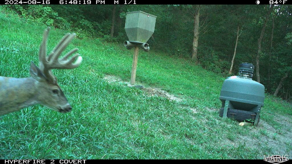 14912 Highway 96 Nebo, IL 62355 - Photo 6 of 99