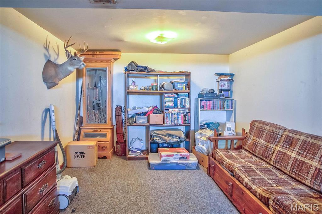 14912 Highway 96 Nebo, IL 62355 - Photo 65 of 99