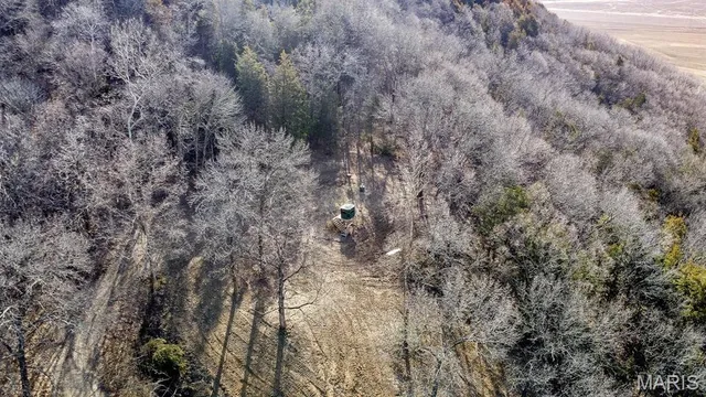 $349,000 | 14912 Highway 96, Nebo, IL 62355