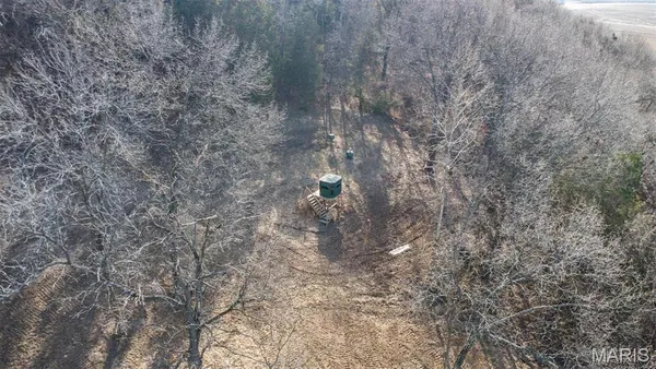 $340,000 | 14912 Highway 96, Nebo, IL 62355