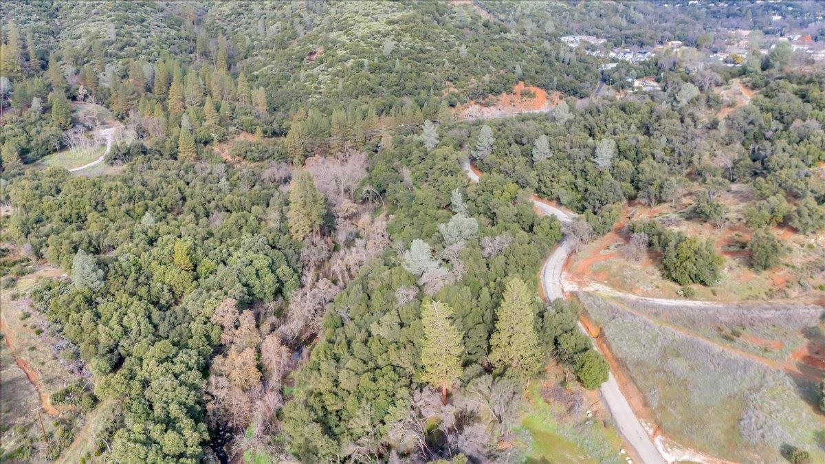 Southgate Sonora, CA 95370 - Photo 12 of 14 a view of a forest with a tree