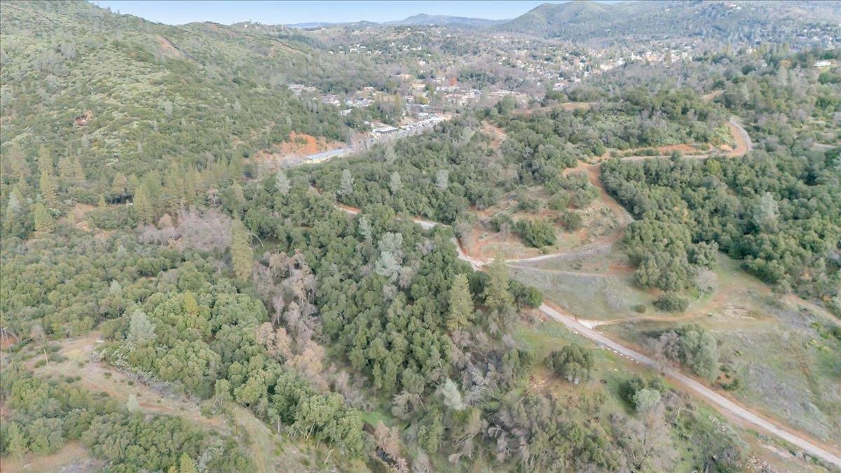Southgate Sonora, CA 95370 - Photo 4 of 14 a view of a forest with a street
