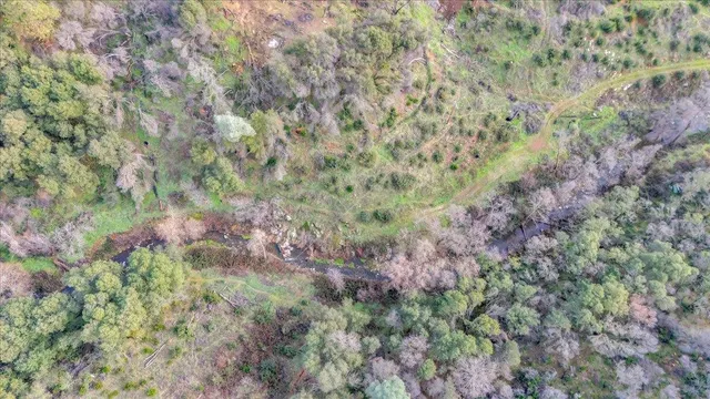 a close up of a plant