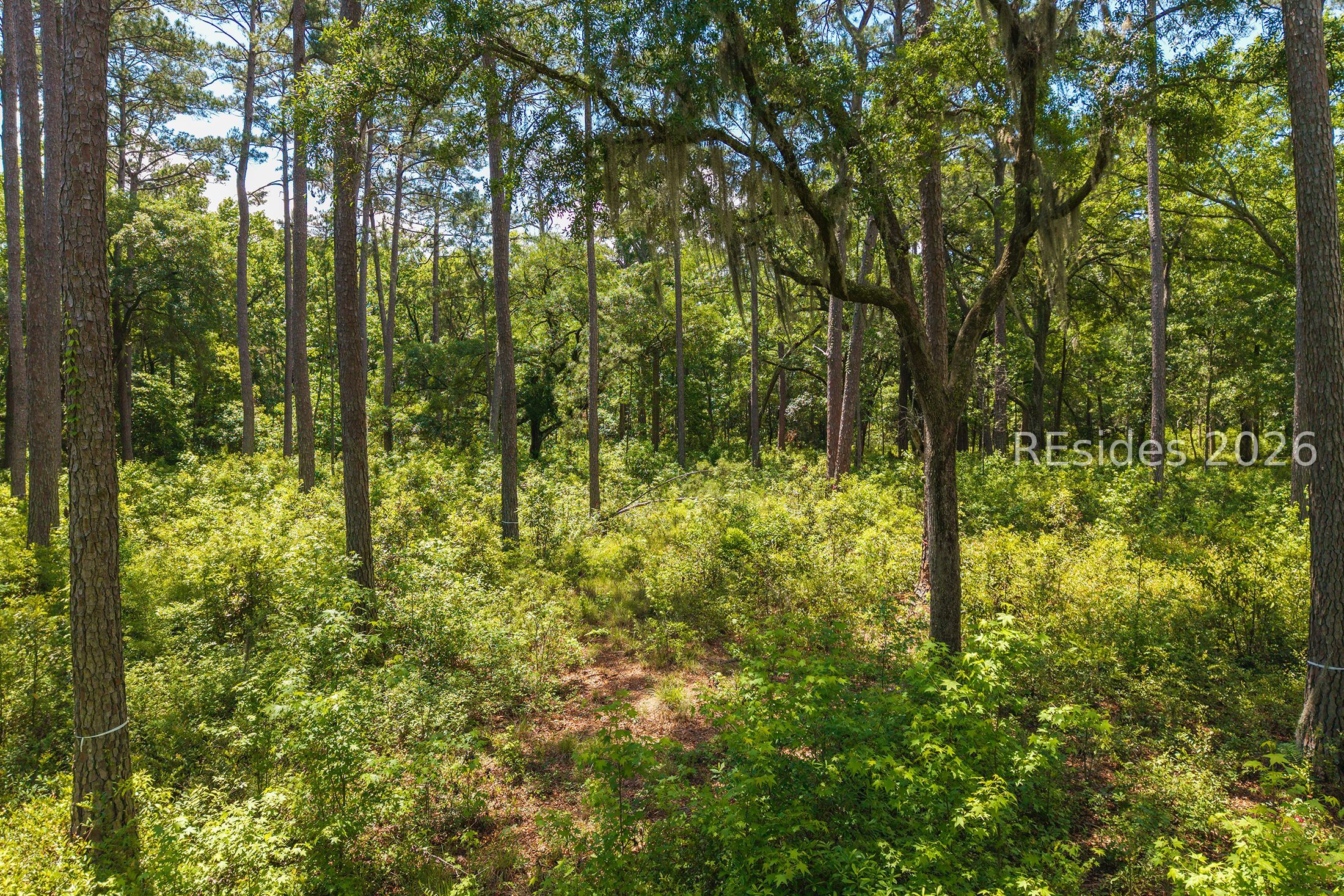 77 Lupine Road Bluffton, SC 29910 - Photo 16 of 20