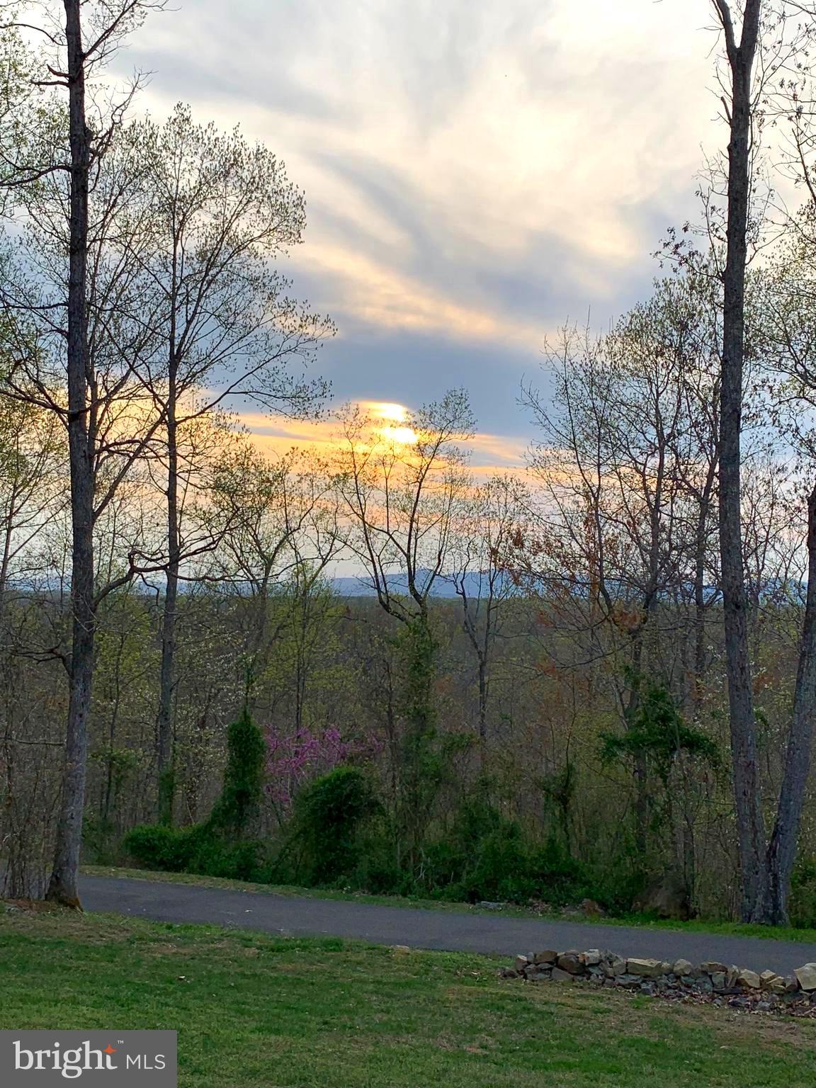 7167 Dudie Road Marshall, VA 20115 - Photo 2 of 93 Views of Blue Ridge Mountains from Front Porch.