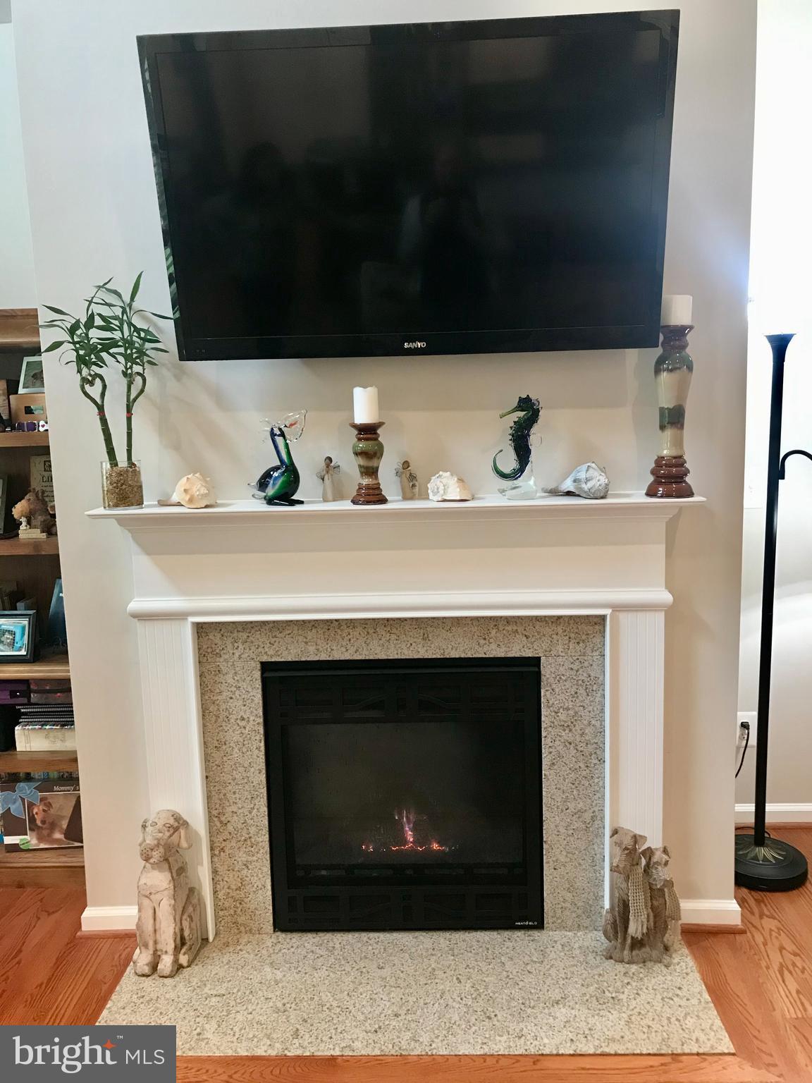 7167 Dudie Road Marshall, VA 20115 - Photo 22 of 93 Gas Fireplace to enjoy cool romantic evenings.