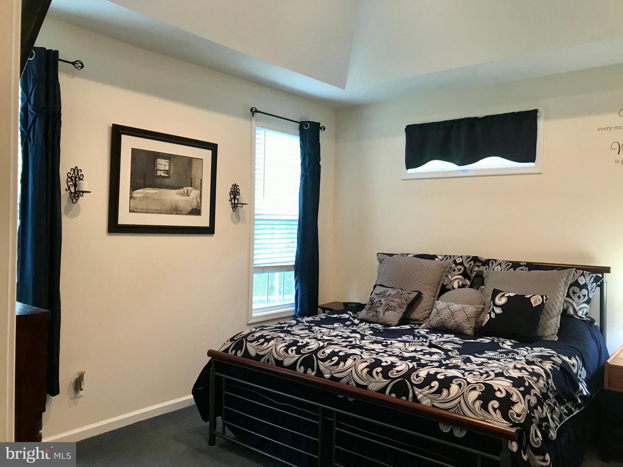 7167 Dudie Road Marshall, VA 20115 - Photo 41 of 93 Main Bedroom with Tray Ceiling.