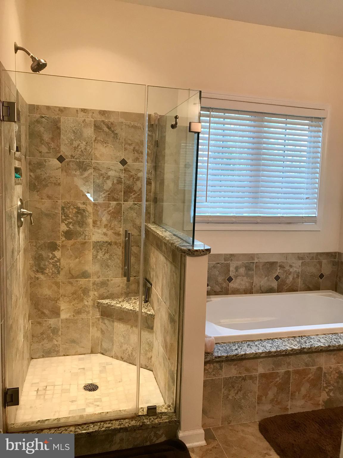 7167 Dudie Road Marshall, VA 20115 - Photo 46 of 93 Separate Shower and Soaking Tub.