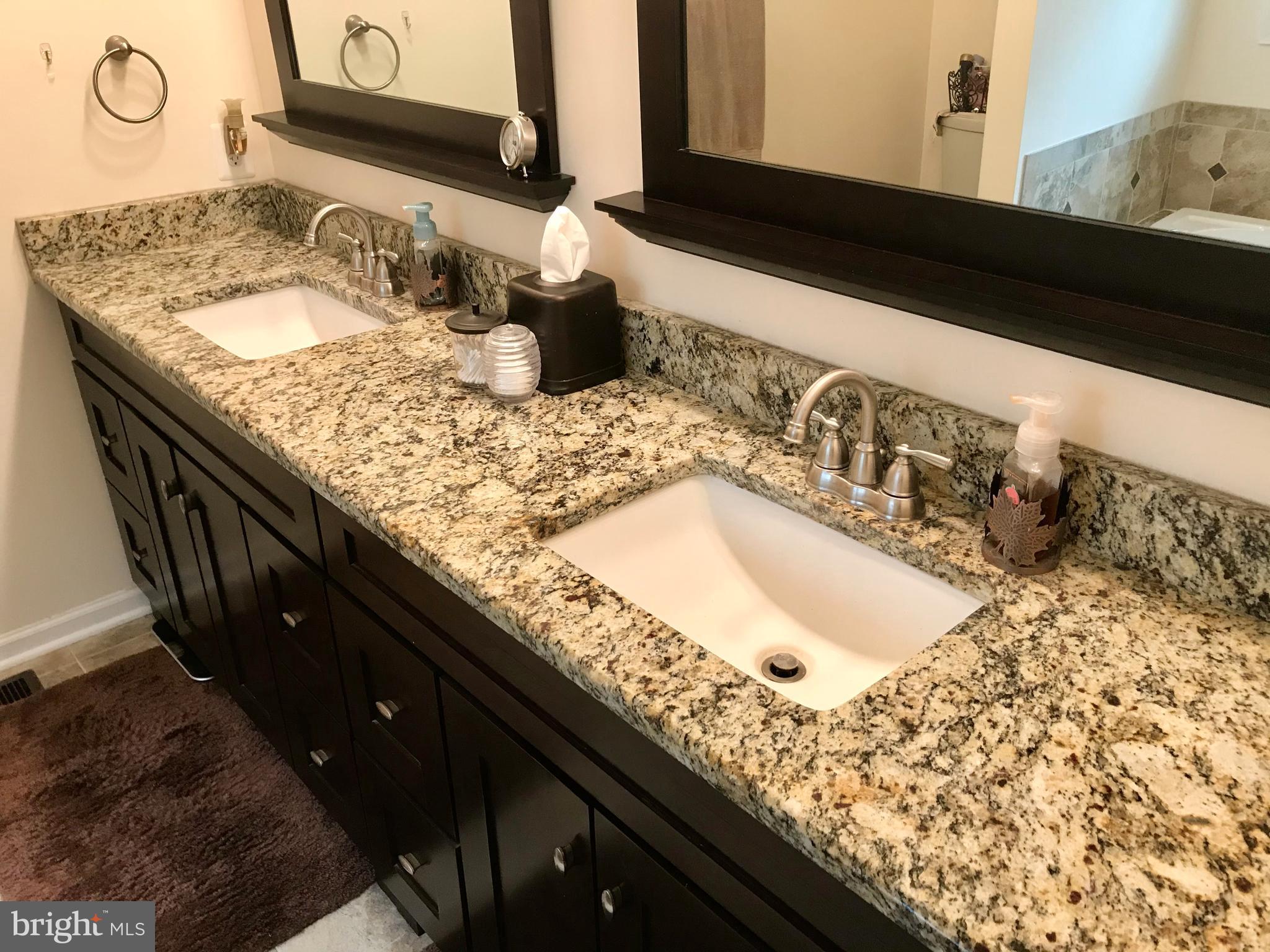 7167 Dudie Road Marshall, VA 20115 - Photo 48 of 93 Granite Countertops & Dual Sinks.