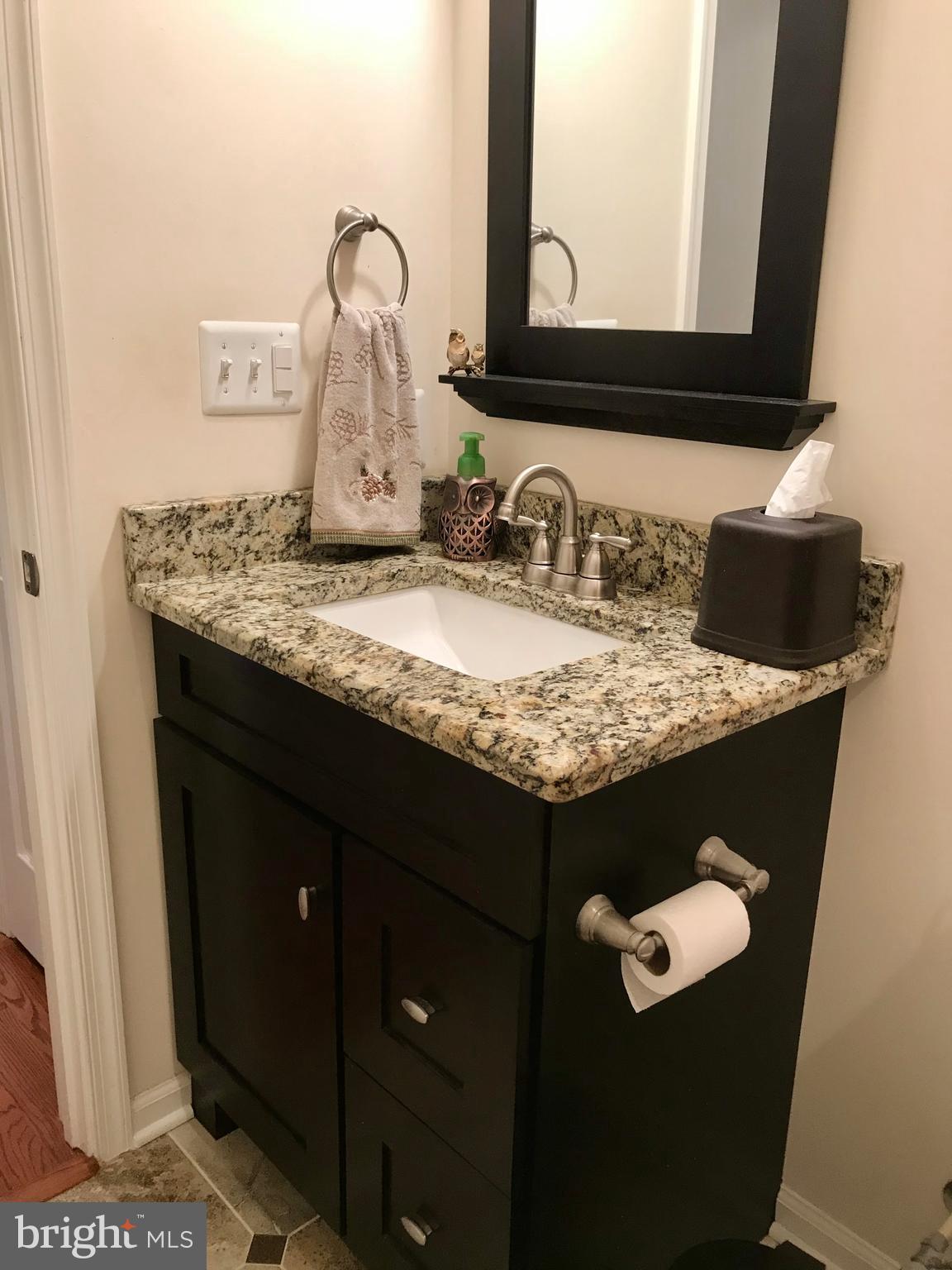 7167 Dudie Road Marshall, VA 20115 - Photo 60 of 93 Hall Bath w/Furniture-style Cabinet; Granite top.