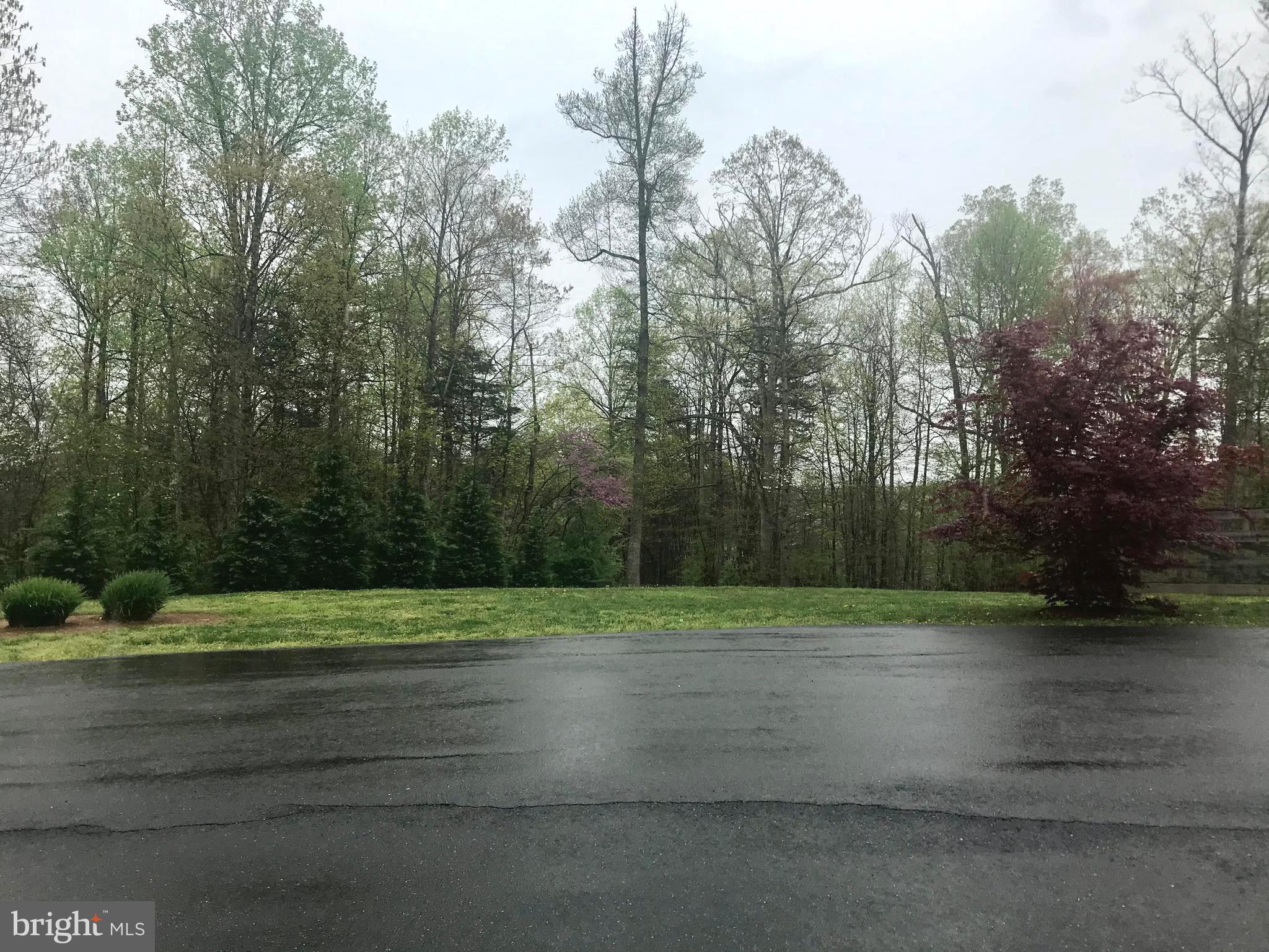 7167 Dudie Road Marshall, VA 20115 - Photo 83 of 93 Left side Yard from Driveway.