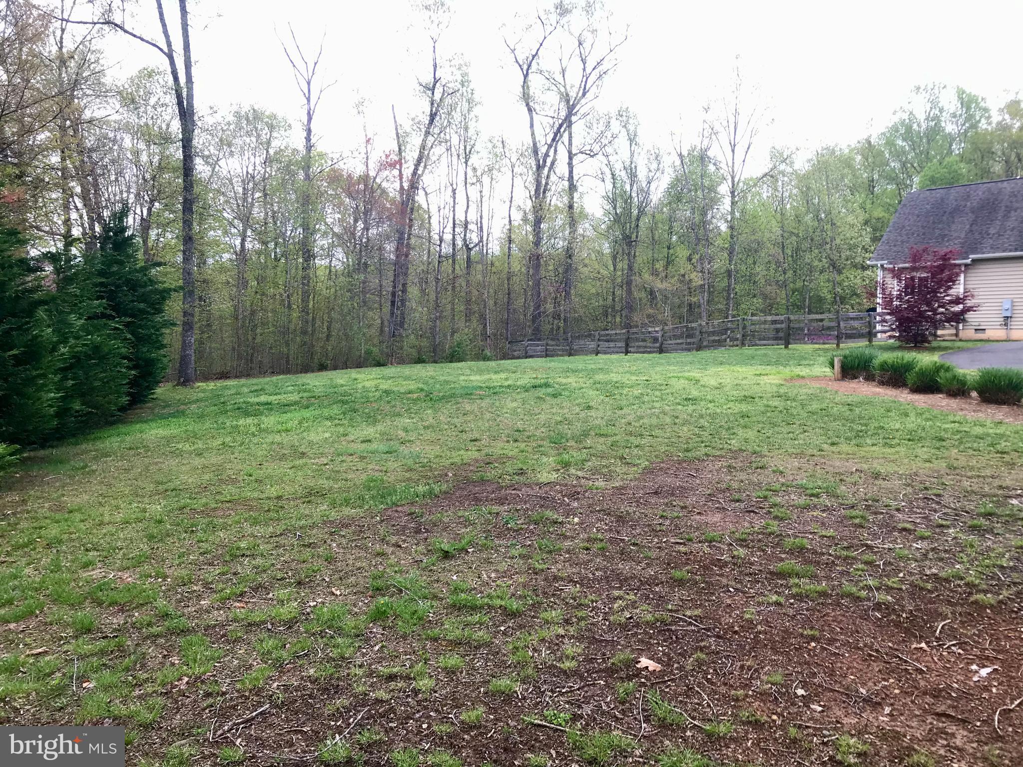 7167 Dudie Road Marshall, VA 20115 - Photo 84 of 93 Left side Yard.
