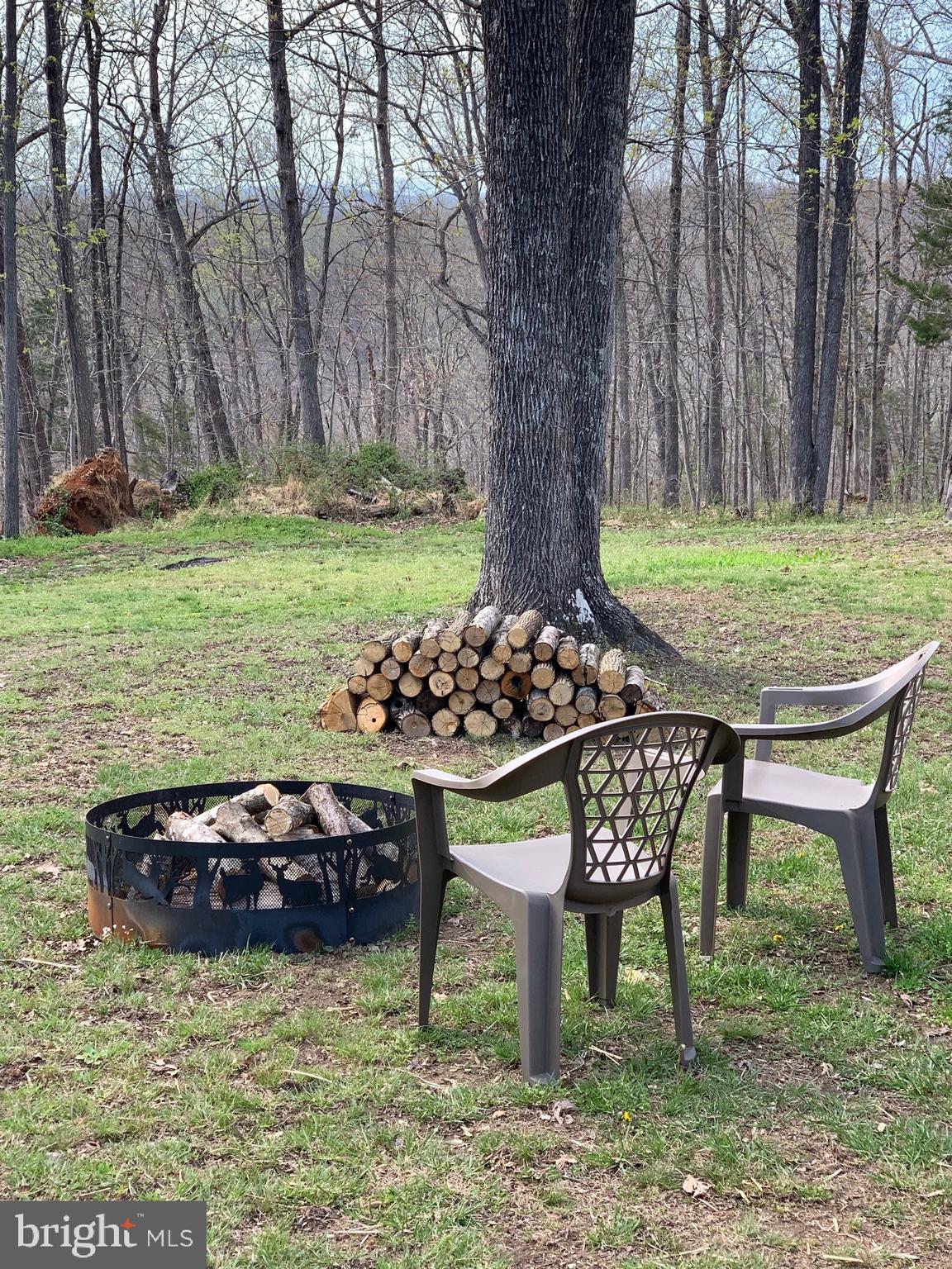 7167 Dudie Road Marshall, VA 20115 - Photo 87 of 93 Fire Pit area to take in seasonal mountain views.