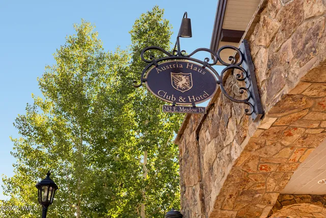 a view of a tree in a yard