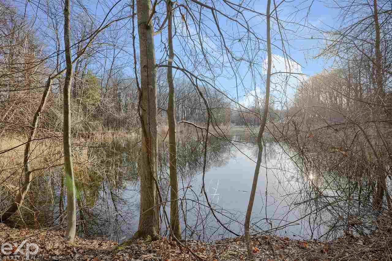 8568 Stone Road Algonac, MI 48001 - Photo 23 of 28 50037334-22.JPG